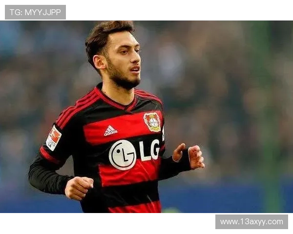 都灵数据分析 都灵数据分析